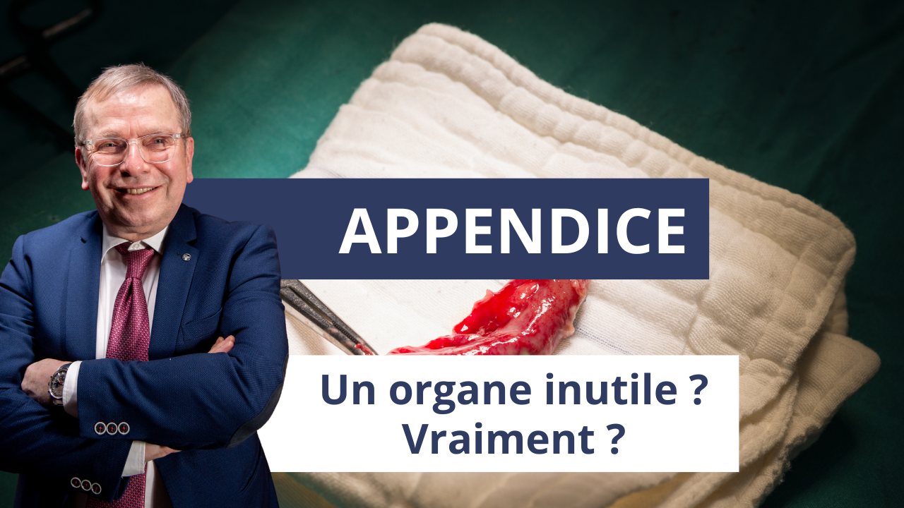 Appendice : un organe inutile ? Vraiment ?